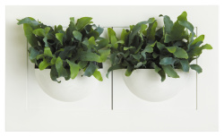 picture 54653685.jpg