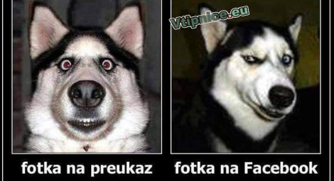 Srandovní-obrázky-fotka-na-fb.png
