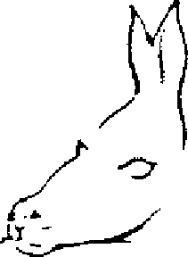 co-vidis.gif co-vidis.gif